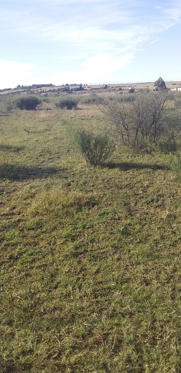  Bedroom Property for Sale in Kroonstad Rural Free State